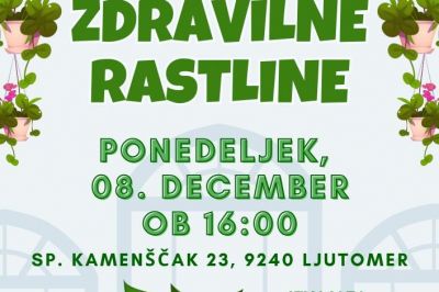 Zdravilne rastline