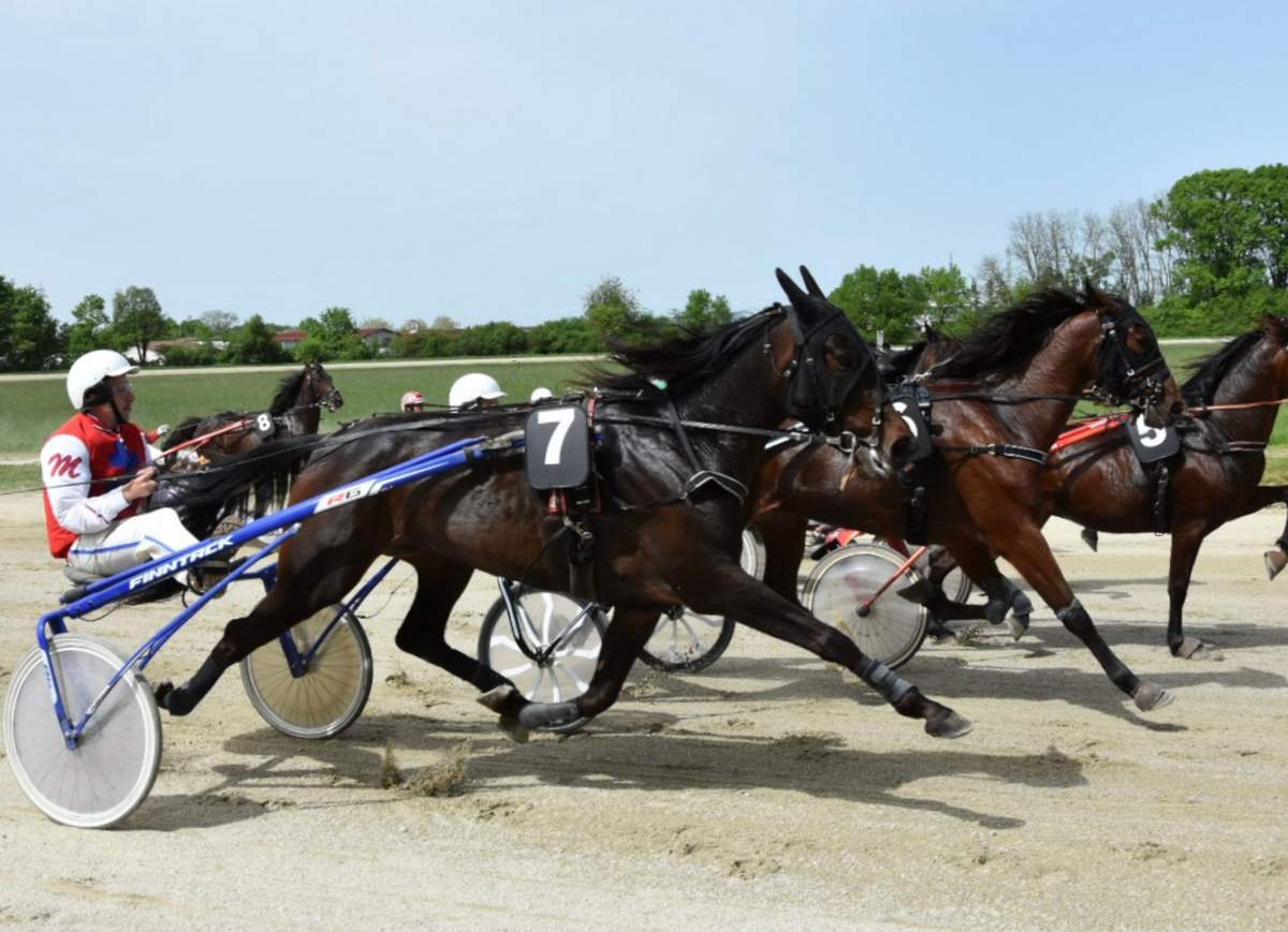 Kasaške dirke v Ljutomeru