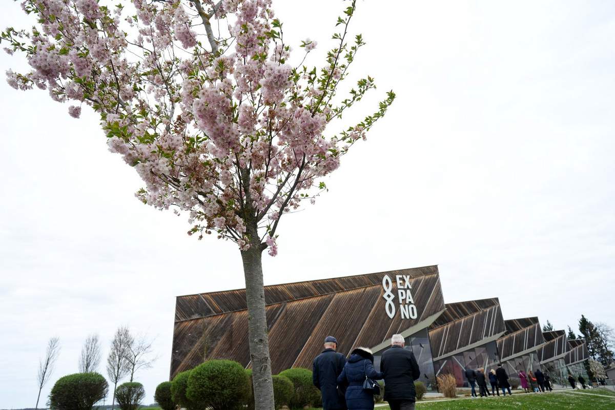 Drevored japonskih češenj bogatejši za novo sadiko sakure