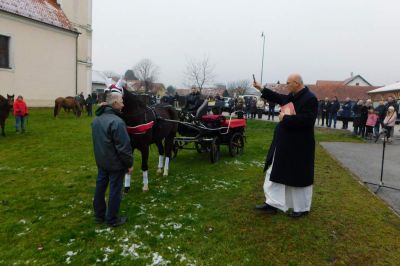 Štefanov blagoslov konj v Veržeju