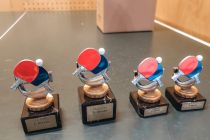 Novoletna turneja v namiznem tenisu