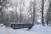 Sobotno zimsko jutro