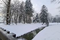 Sobotno zimsko jutro