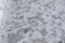 Sobotno zimsko jutro