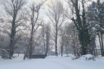 Sobotno zimsko jutro