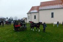Štefanov blagoslov konj v Veržeju