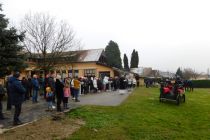 Štefanov blagoslov konj v Veržeju