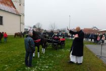 Štefanov blagoslov konj v Veržeju