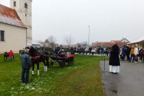 Štefanov blagoslov konj v Veržeju