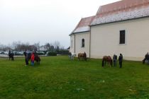 Štefanov blagoslov konj v Veržeju