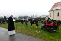 Štefanov blagoslov konj v Veržeju