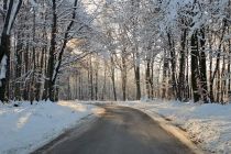 Zimska idila v Prlekiji