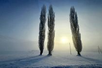 Zimska idila v Prlekiji