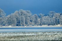 Zimska idila v Prlekiji