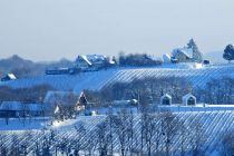 Zimska idila v Prlekiji