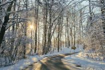 Zimska idila v Prlekiji