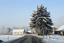 Zimska idila v Prlekiji