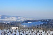 Zimska idila v Prlekiji