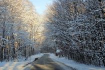 Zimska idila v Prlekiji