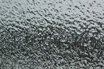 Žled in poledica v Prlekiji