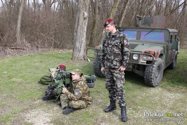 22 let Slovenske vojske