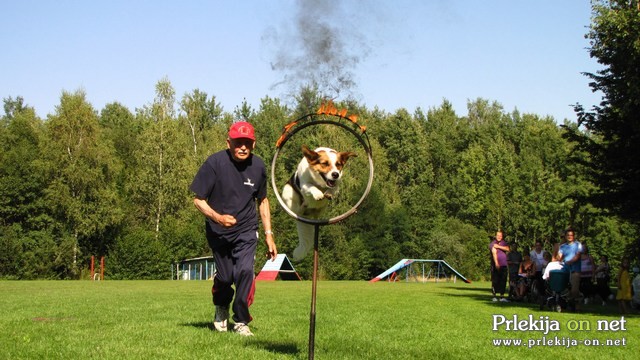 Skok skozi ognjeni obroč Skok skozi ognjeni obroč