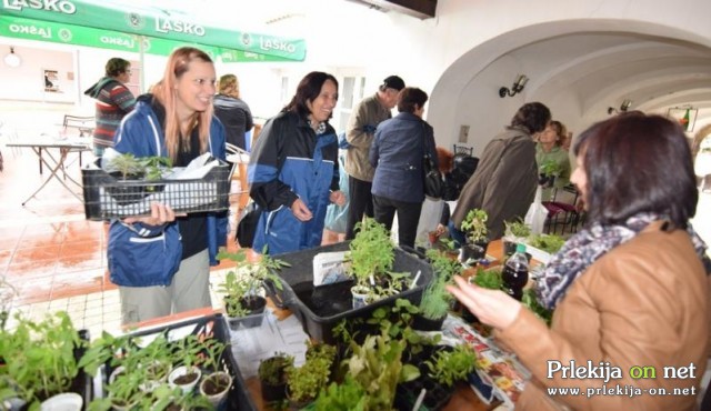 4. vseslovenska Zelemenjava v Ljutomeru