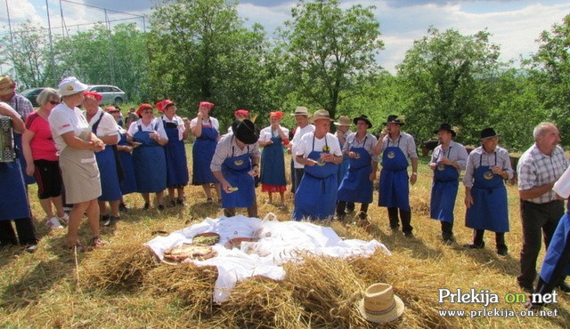 54. praznik žetve na Polenšaku