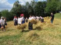 54. praznik žetve na Polenšaku