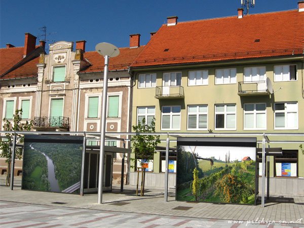 Slike na hiškah na Glavnem trgu v Ljutomeru