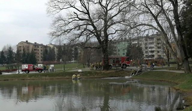 Posredovali so gasilci PGD Ptuj, foto: PGD Ptuj