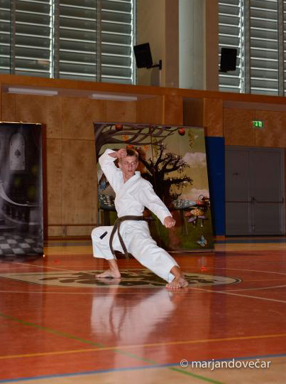 Aleš Pokrivač, foto: Marjan Dovečar