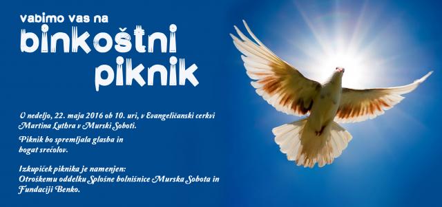 Binkoštni piknik