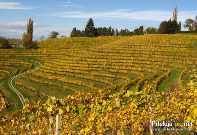 Prleški vinogradi Prleški vinogradi