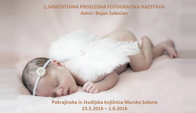 Razstava Razstava