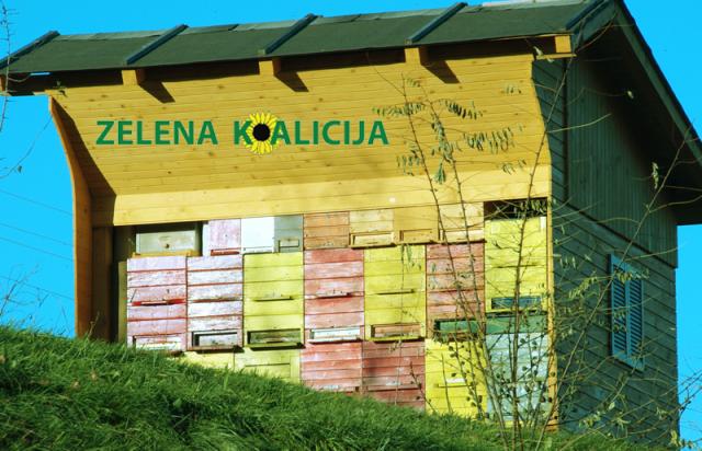 Zelena koalicija Zelena koalicija