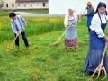 Košnja FS DU Križevci pri Ljutomeru