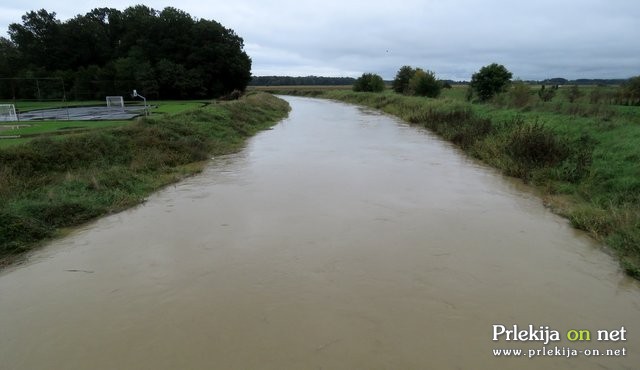 Ščavnica v Cezanjevcih