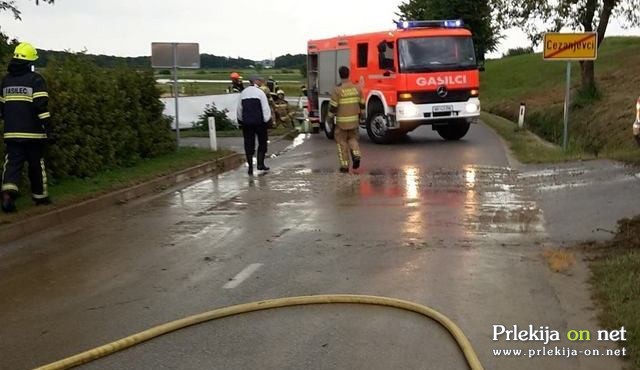 Posredovanje v Cezanjevcih Posredovanje v Cezanjevcih