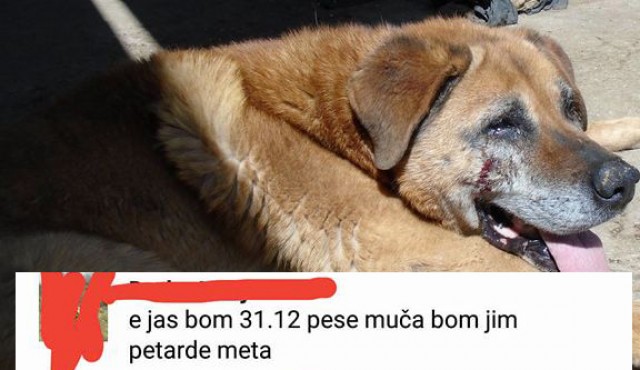 Zapis na FB Zapis na FB
