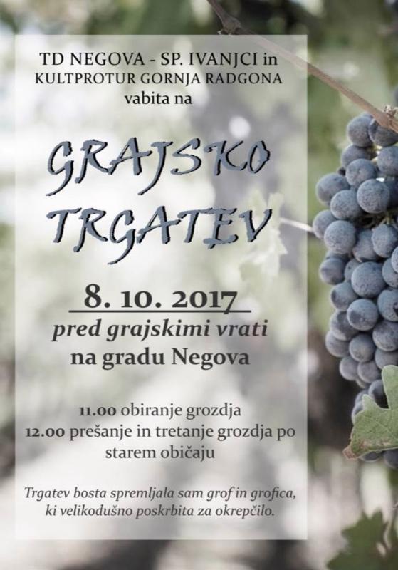 Grajska trgatev