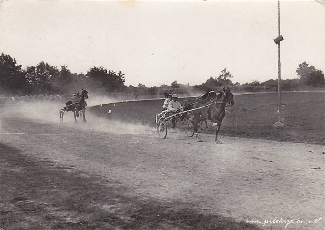 Hipodrom Ljutomer leta 1965