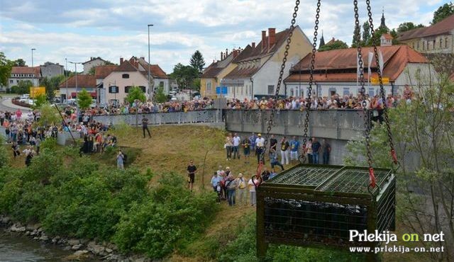 11. dan odprtih kleti Radgonskih goric