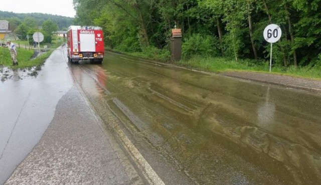 Iz zbiralnika iztekla gnojnica, foto: PGD Gornja Radgona