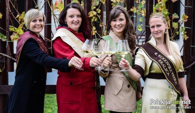Dosedanje Kogovske vinske kraljice Dosedanje Kogovske vinske kraljice