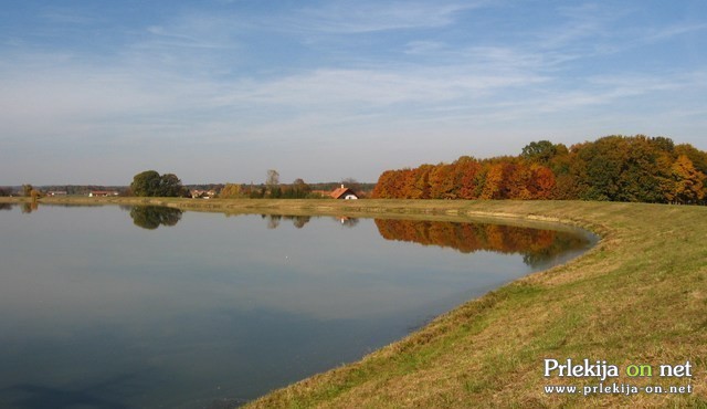 Gajševsko jezero Gajševsko jezero