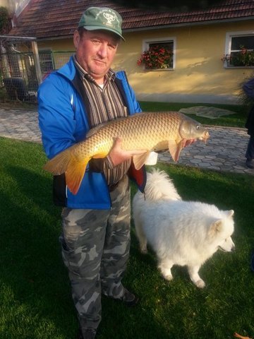 Karas Branko