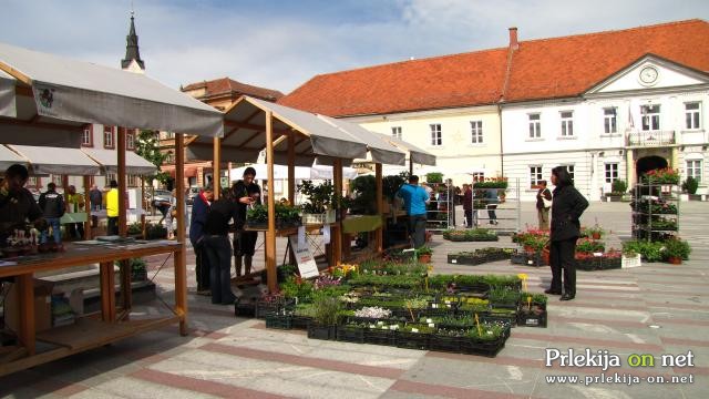 Ljutomer Ljutomer