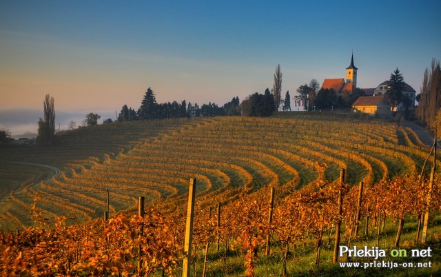 Jeruzalem spet vabi, foto: Boštjan Peterka