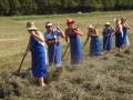 Košnja in sušenje trave v Žerovincih